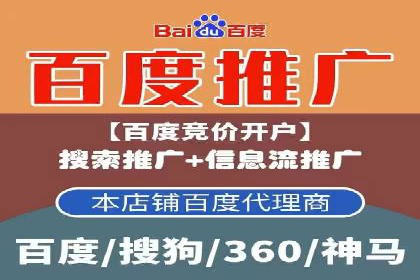 百度竞价推广的技巧与策略：某企业成功案例分享